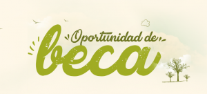 banner-oportunidad-beca