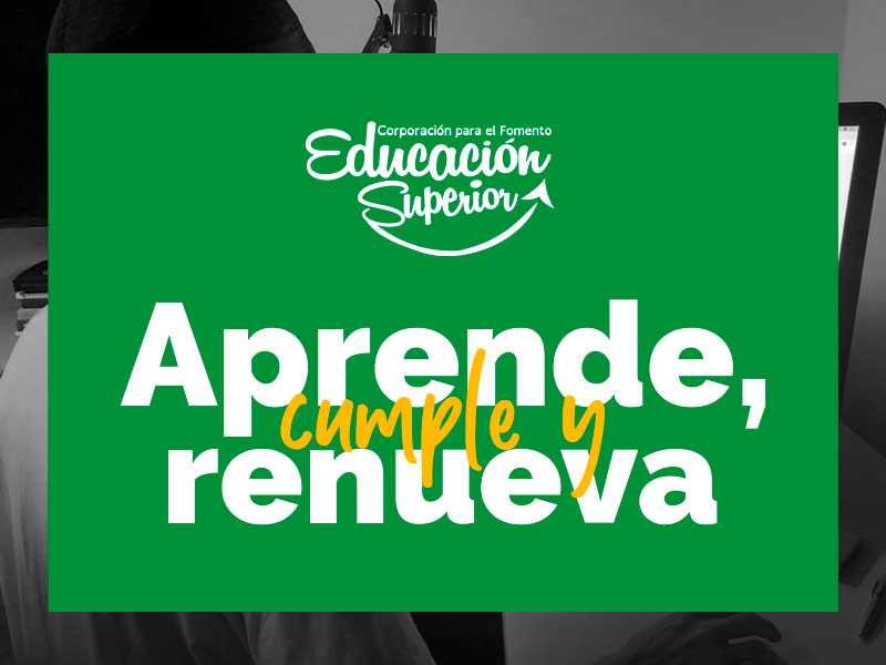 Talleres virtuales de acompañamiento