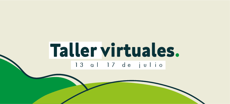 Talleres virtuales de acompañamiento