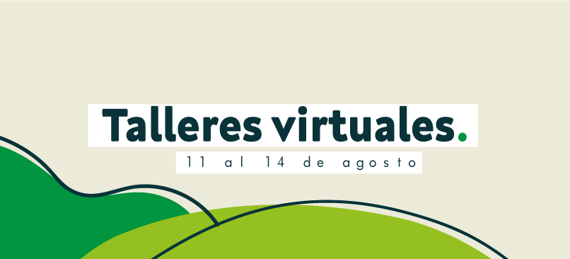 Talleres virtuales de acompañamiento