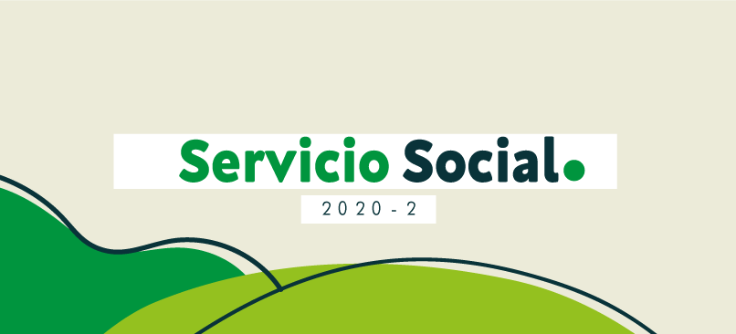Servicio social