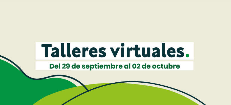 Talleres virtuales de acompañamiento