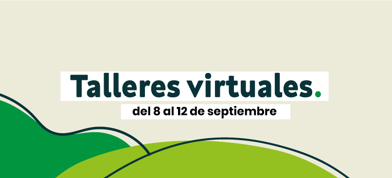 Talleres virtuales de acompañamiento