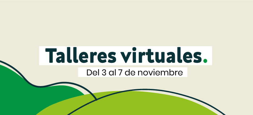 Talleres virtuales de acompañamiento