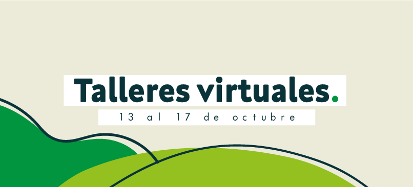 Talleres virtuales de acompañamiento