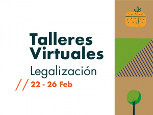 Talleres virtuales de acompañamiento