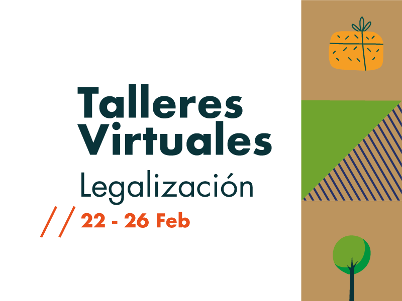 Talleres virtuales de acompañamiento