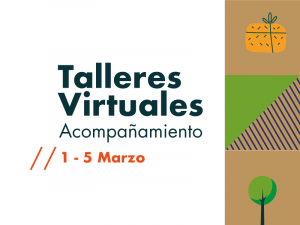 Talleres virtuales de acompañamiento