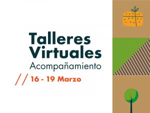 Talleres virtuales de acompañamiento