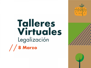 Talleres virtuales de acompañamiento