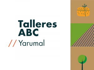 Talleres virtuales de acompañamiento