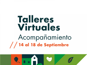 Talleres virtuales de acompañamiento