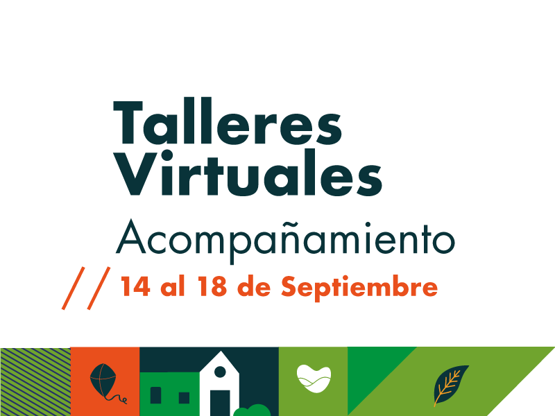 Talleres virtuales de acompañamiento
