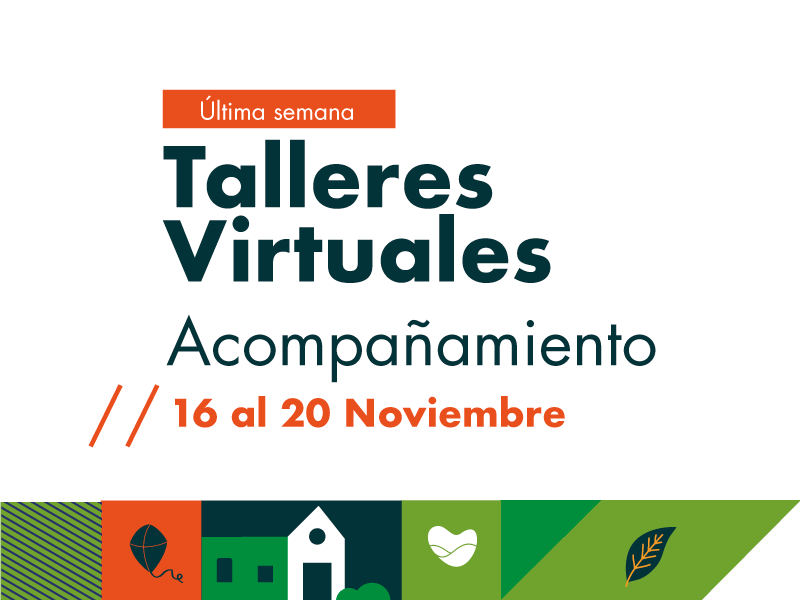 Talleres virtuales de acompañamiento