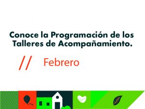 Programación - Febrero
