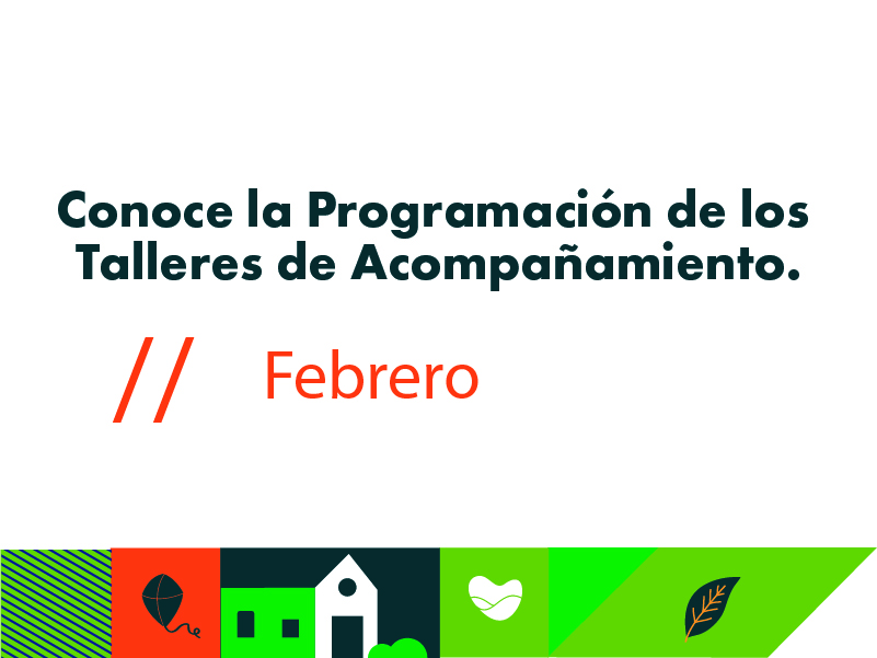Programación - Febrero