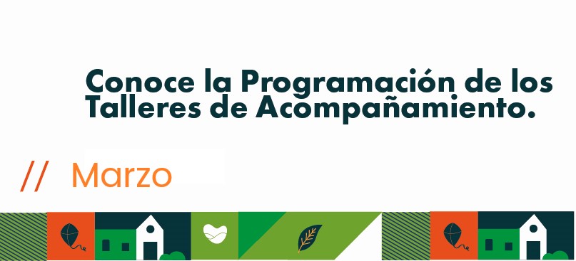 Talleres virtuales de acompañamiento